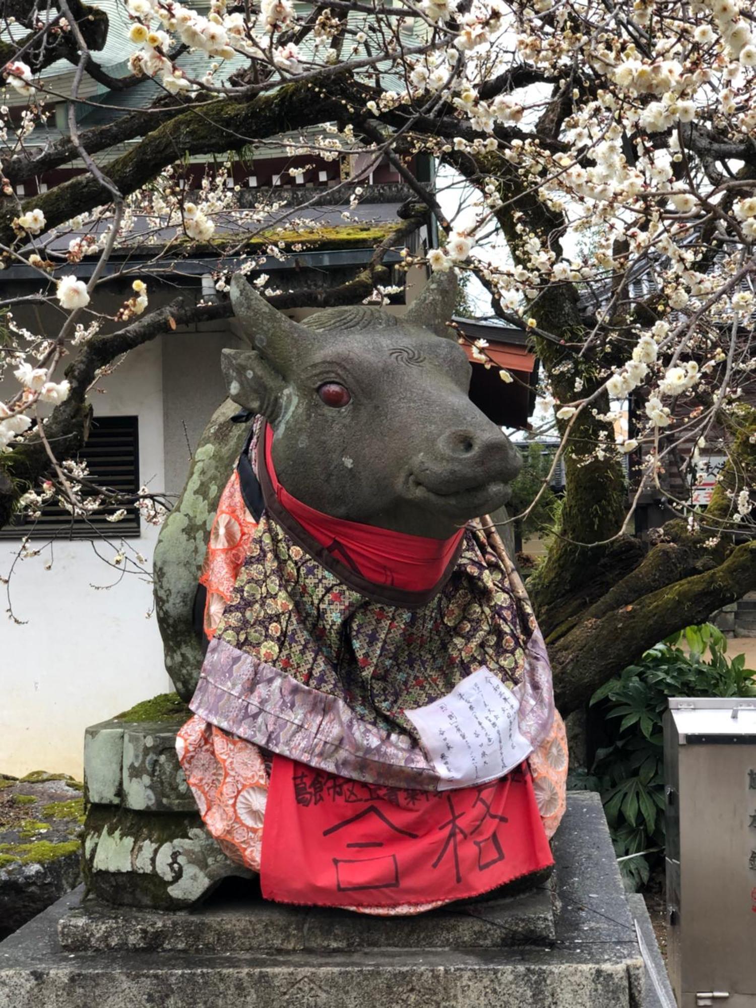 京町家-椿庵kyomachiya-Tsubakian Vila Quioto Exterior foto